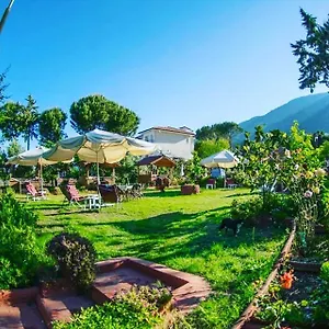  Otel Boncuklu Türkiye